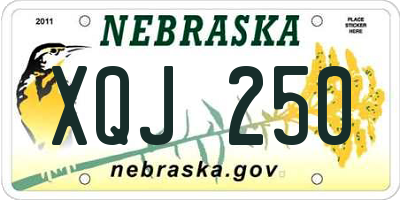 NE license plate XQJ250