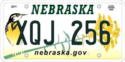 NE license plate XQJ256