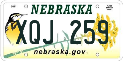 NE license plate XQJ259