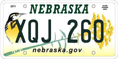 NE license plate XQJ260