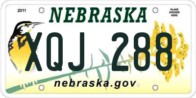 NE license plate XQJ288