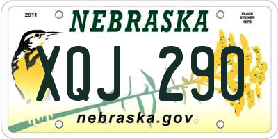 NE license plate XQJ290