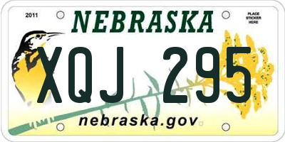 NE license plate XQJ295