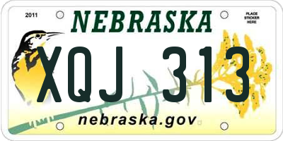 NE license plate XQJ313