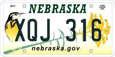NE license plate XQJ316