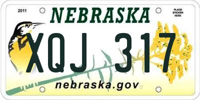 NE license plate XQJ317