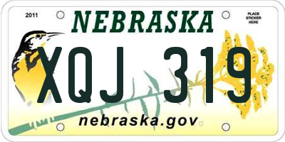 NE license plate XQJ319