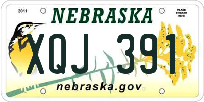 NE license plate XQJ391