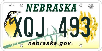 NE license plate XQJ493