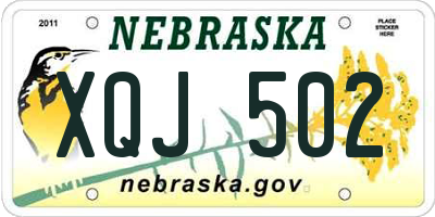 NE license plate XQJ502