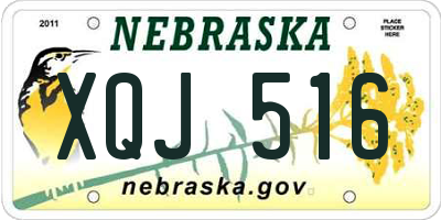 NE license plate XQJ516