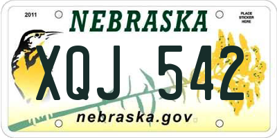 NE license plate XQJ542