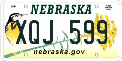 NE license plate XQJ599