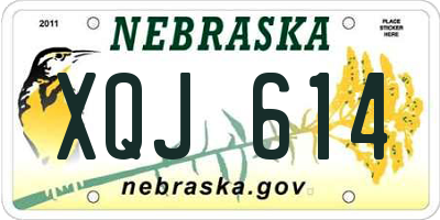 NE license plate XQJ614