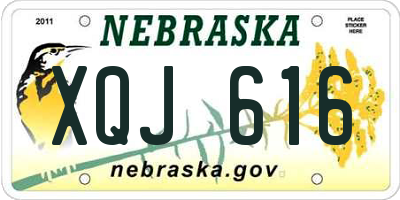 NE license plate XQJ616