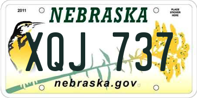 NE license plate XQJ737