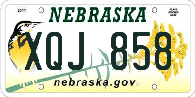 NE license plate XQJ858