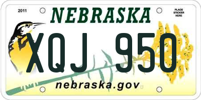 NE license plate XQJ950
