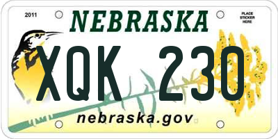 NE license plate XQK230