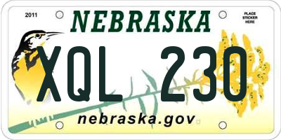 NE license plate XQL230