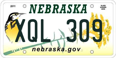 NE license plate XQL309