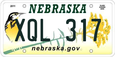 NE license plate XQL317