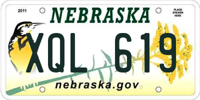 NE license plate XQL619