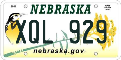 NE license plate XQL929