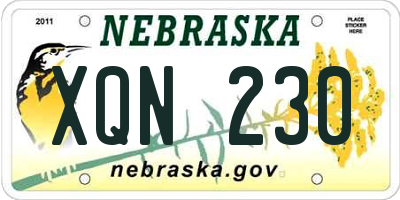 NE license plate XQN230