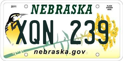 NE license plate XQN239