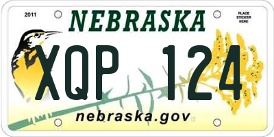 NE license plate XQP124