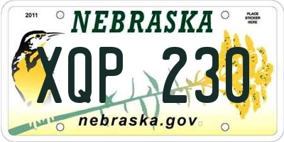 NE license plate XQP230