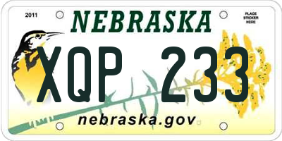 NE license plate XQP233