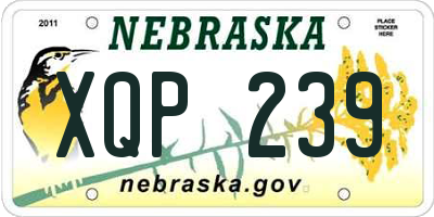NE license plate XQP239