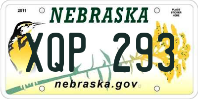 NE license plate XQP293