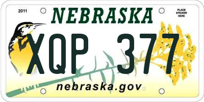 NE license plate XQP377