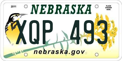 NE license plate XQP493