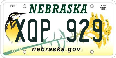 NE license plate XQP929