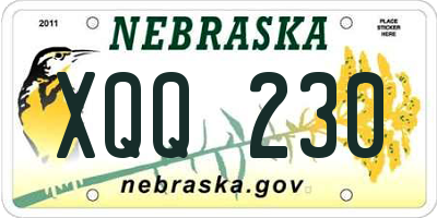 NE license plate XQQ230