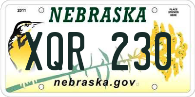 NE license plate XQR230