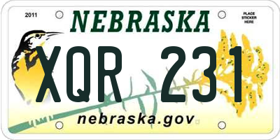NE license plate XQR231