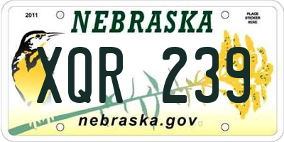 NE license plate XQR239
