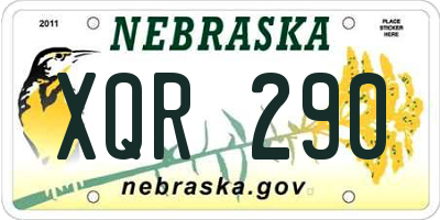NE license plate XQR290