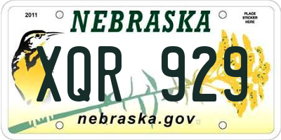 NE license plate XQR929