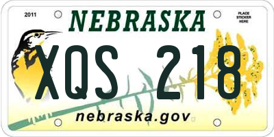 NE license plate XQS218