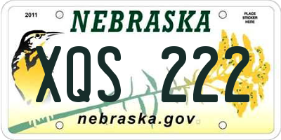 NE license plate XQS222