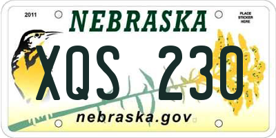 NE license plate XQS230