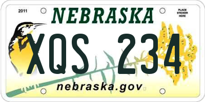 NE license plate XQS234