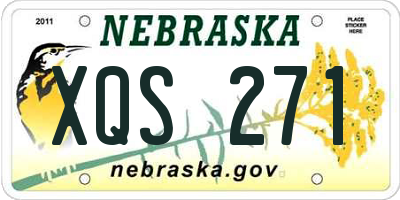 NE license plate XQS271