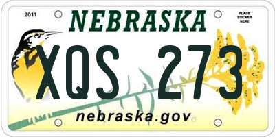 NE license plate XQS273